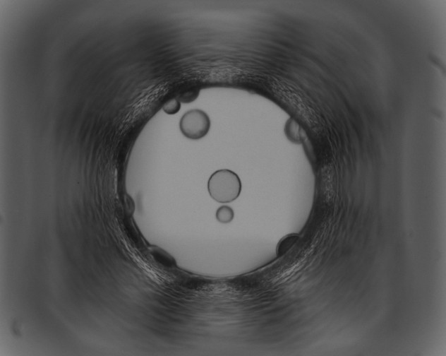 X0000097490589200803201532