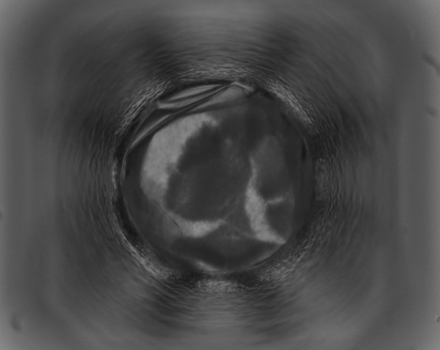 X0000097490590200803201532