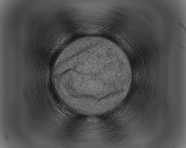 X0000097490591200803201532