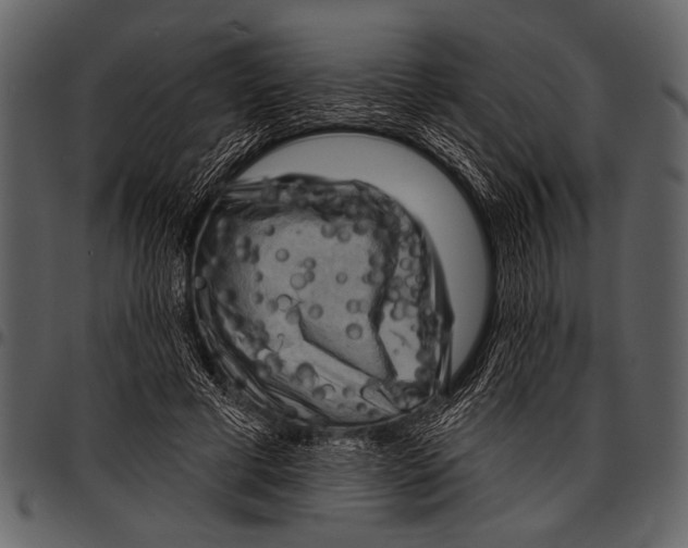 X0000097490593200803201532