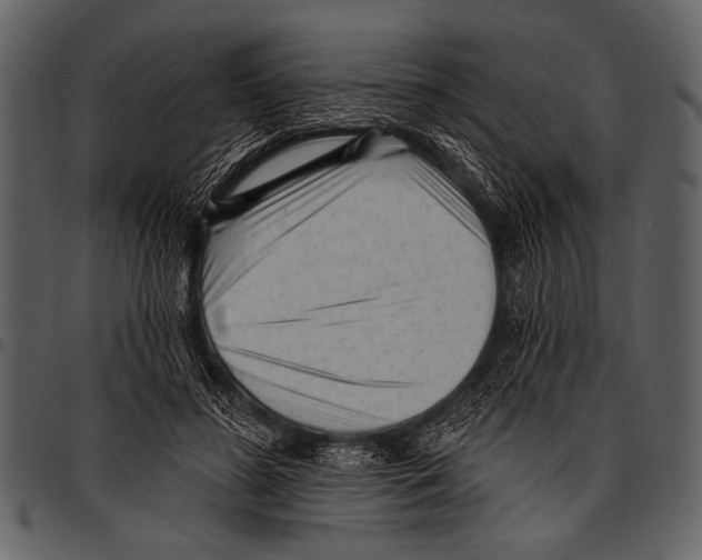 X0000097490596200803201532