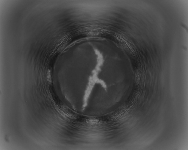 X0000097490598200803201532