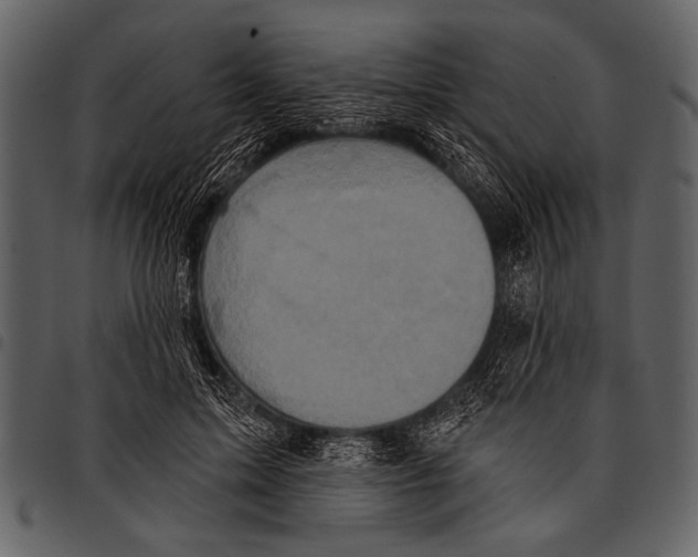 X0000097490599200803201532