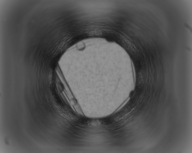 X0000097490600200803201532