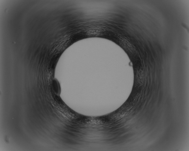 X0000097490601200803201532