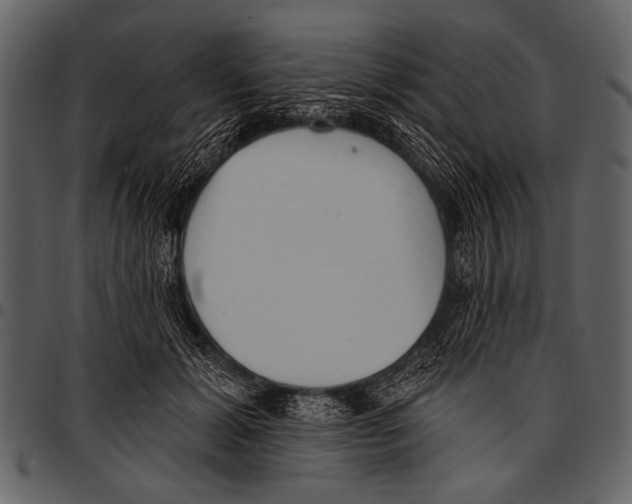 X0000097490605200803201532