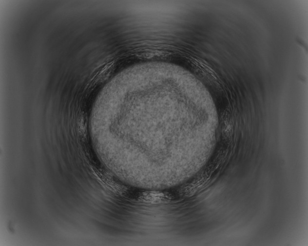 X0000097490607200803201532