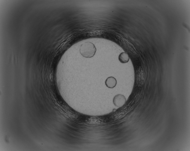 X0000097490608200803201532