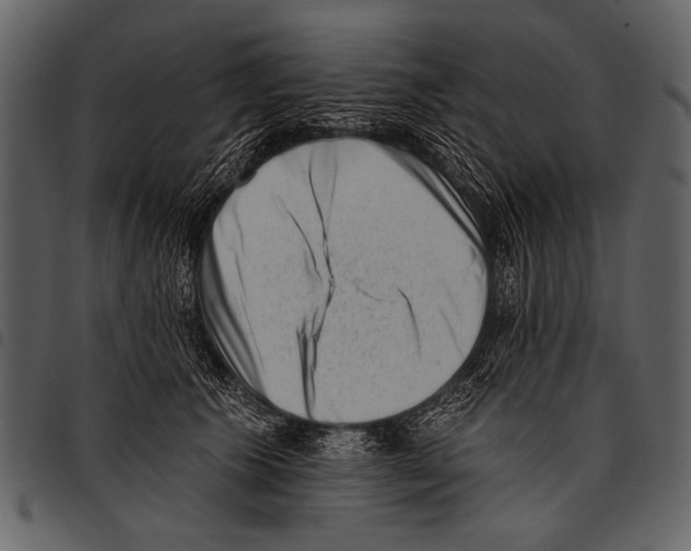 X0000097490609200803201532