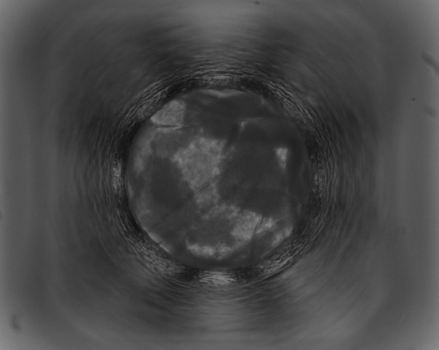 X0000097490610200803201532