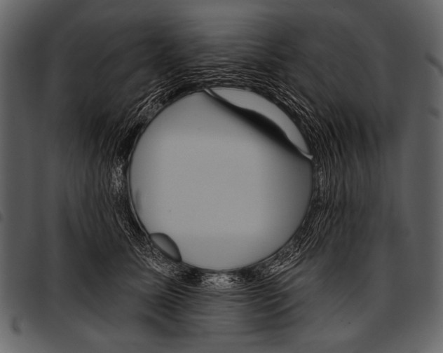 X0000097490611200803201532