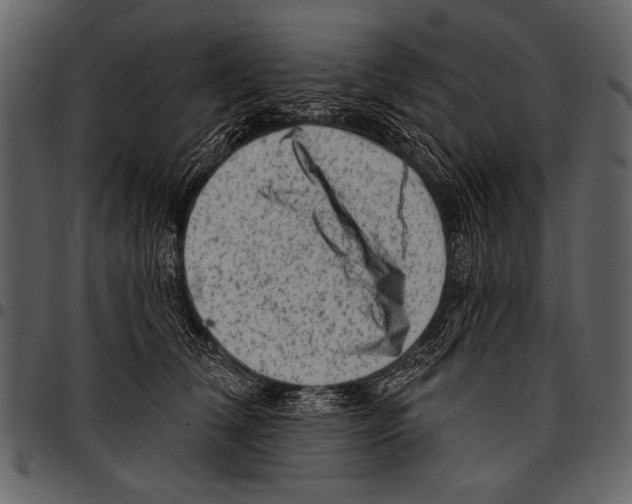 X0000097490612200803201532