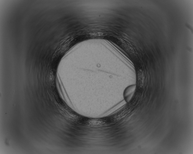 X0000097490614200803201532