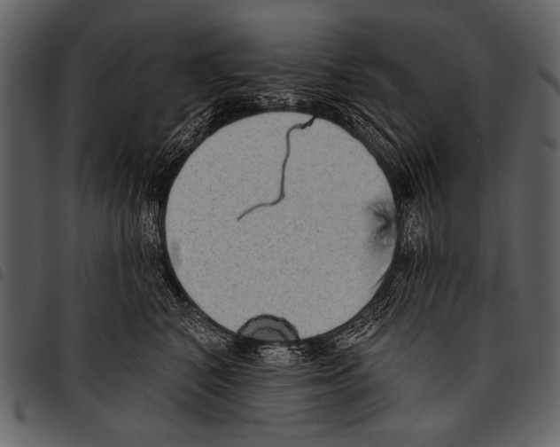 X0000097490616200803201532