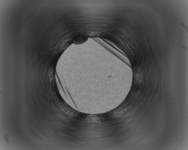 X0000097490620200803201532