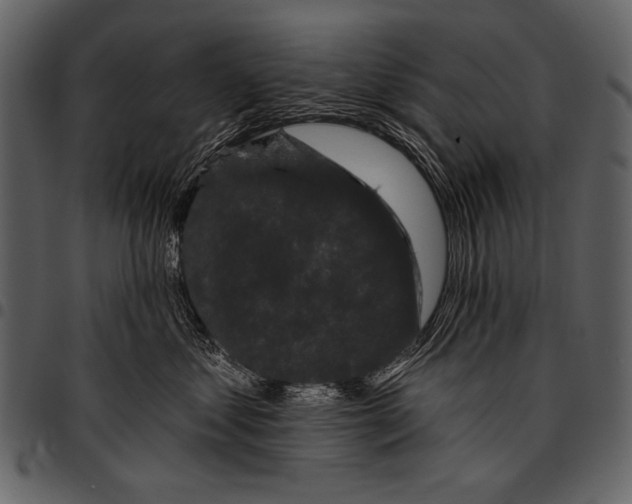 X0000097490621200803201532