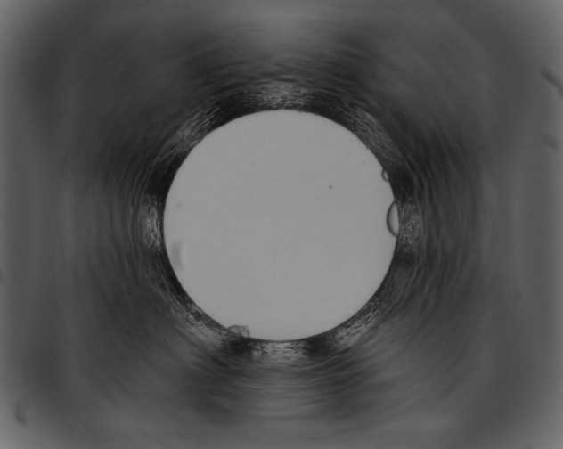 X0000097490622200803201532