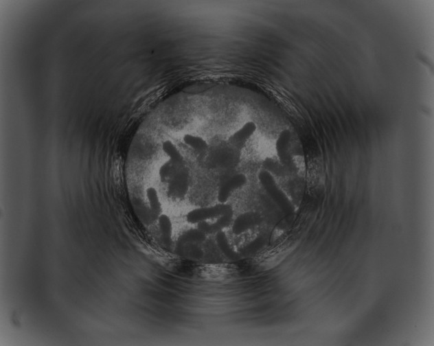 X0000097490623200803201532