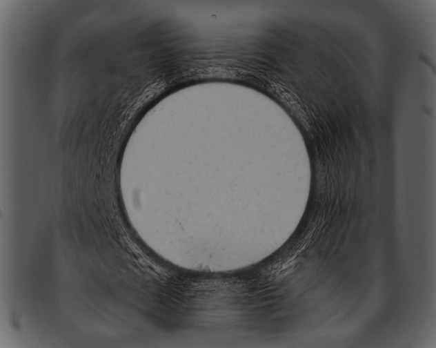 X0000097490625200803201531