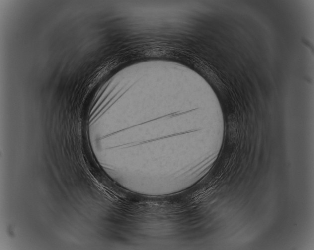 X0000097490626200803201531