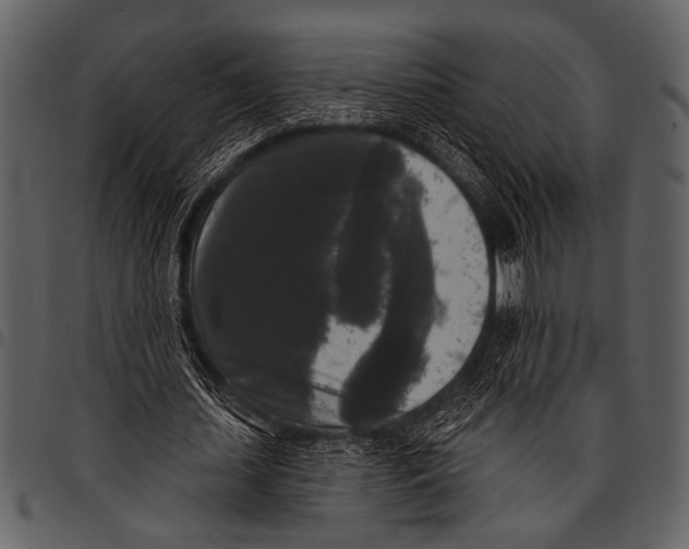 X0000097490627200803201531