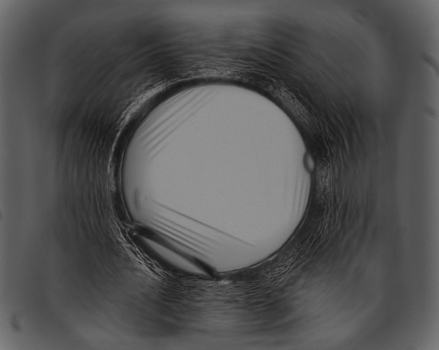 X0000097490628200803201531