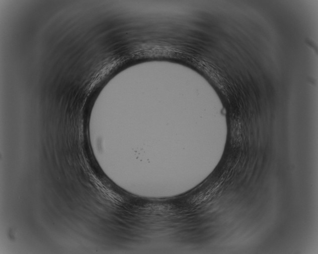 X0000097490629200803201531