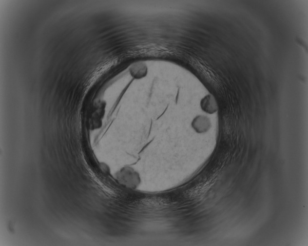 X0000097490630200803201531