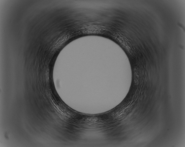 X0000097490631200803201531