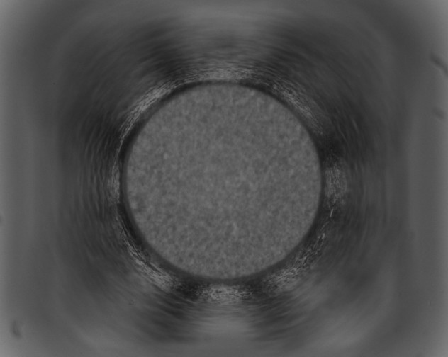 X0000097490632200803201531