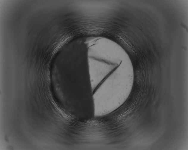 X0000097490634200803201531