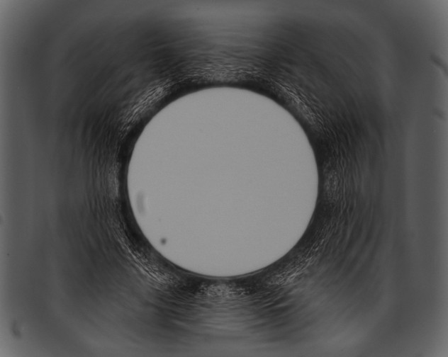 X0000097490635200803201531