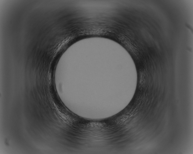 X0000097490636200803201531