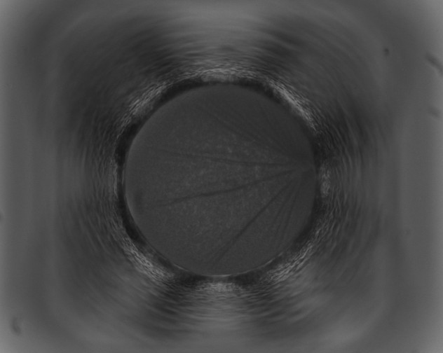 X0000097490637200803201532