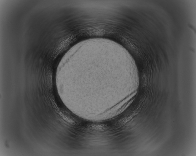 X0000097490638200803201532