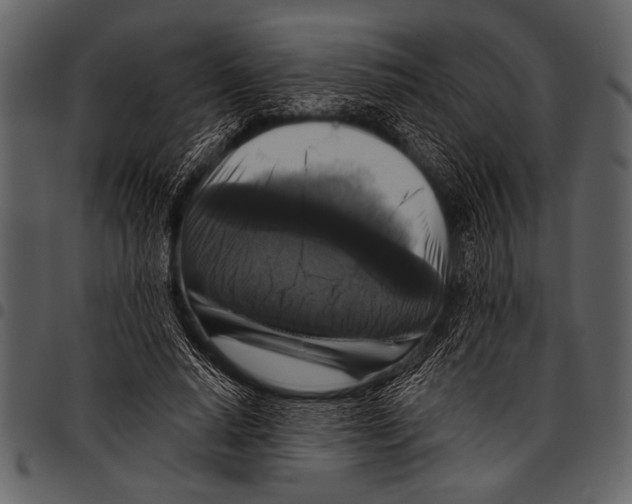 X0000097490640200803201532