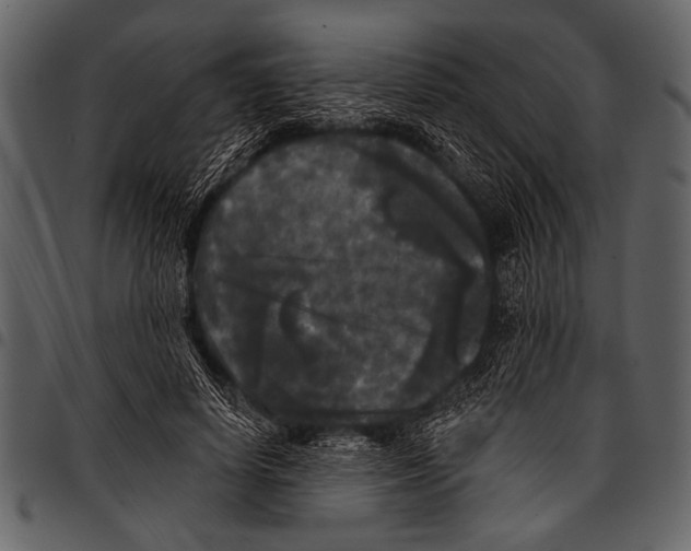 X0000097490642200803201532