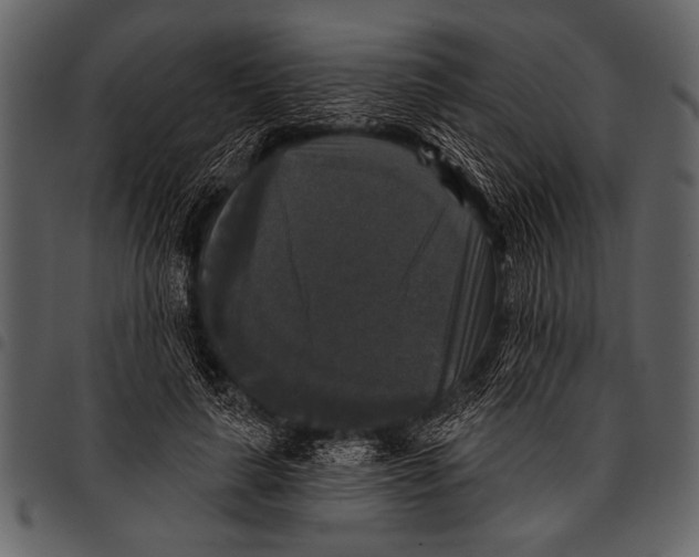 X0000097490643200803201532