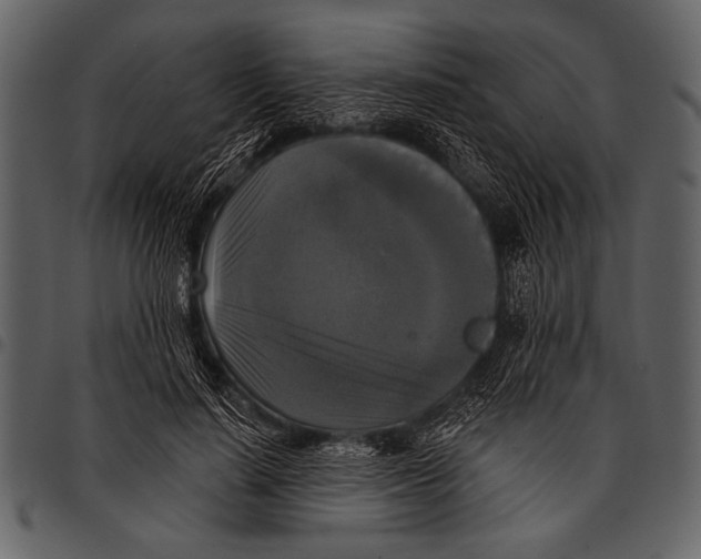 X0000097490644200803201532