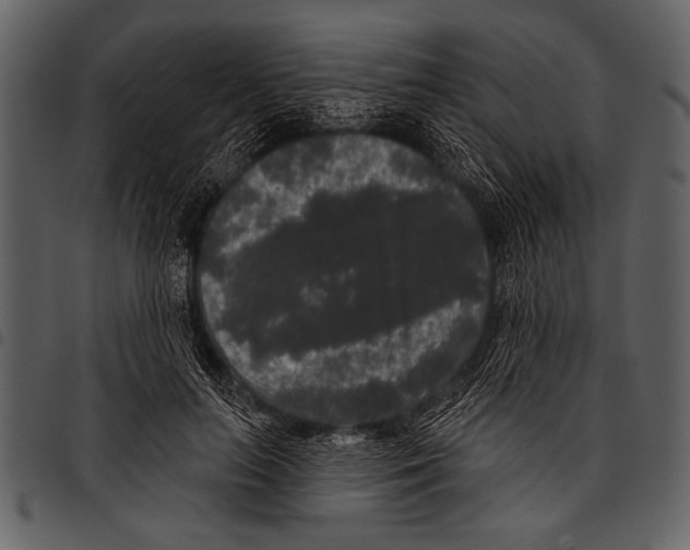 X0000097490647200803201532