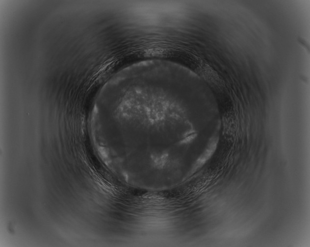 X0000097490648200803201532