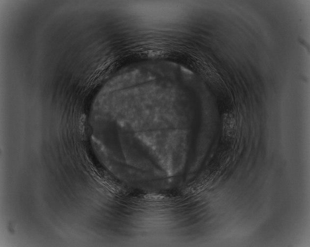 X0000097490650200803201532