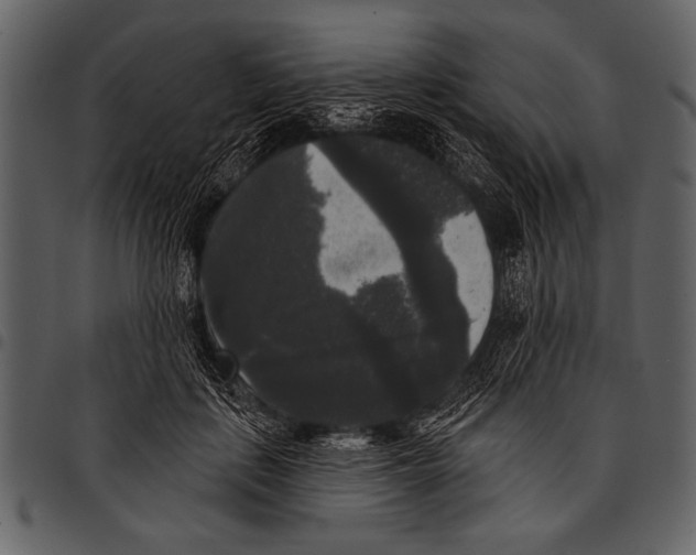 X0000097490651200803201532