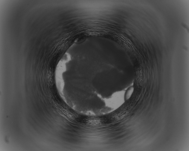 X0000097490653200803201532