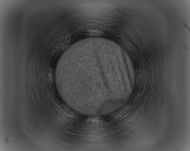 X0000097490655200803201532