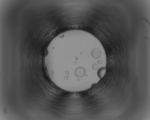 X0000097490656200803201532