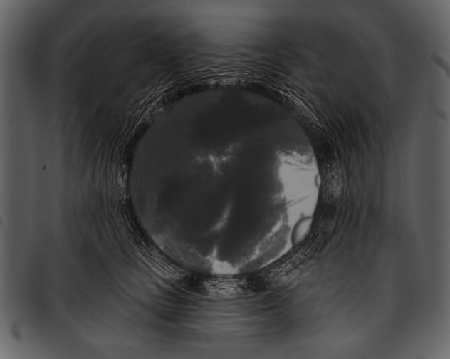 X0000097490661200803201532