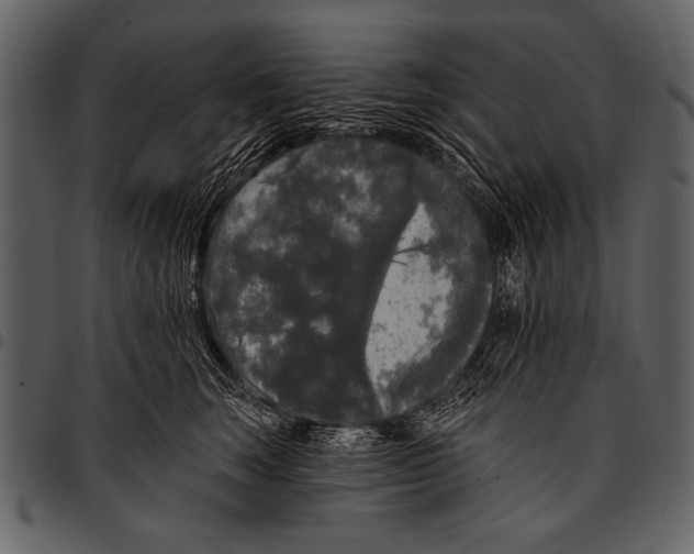 X0000097490663200803201532