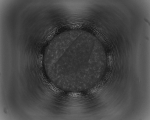 X0000097490664200803201532