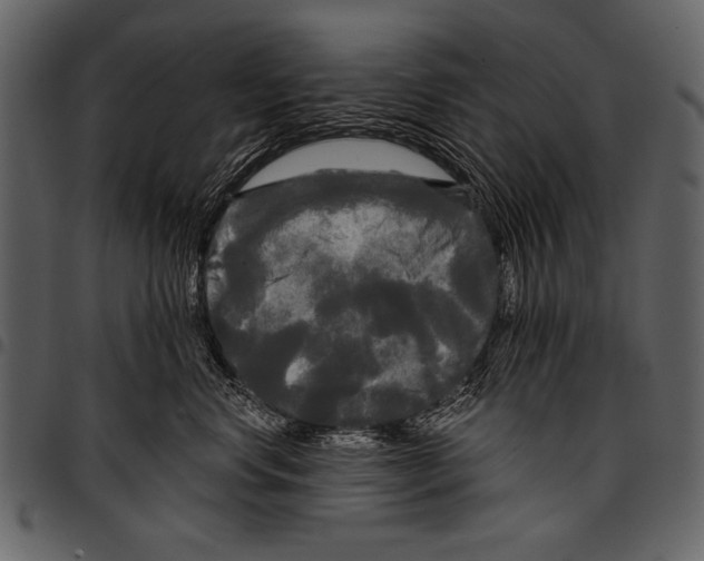 X0000097490668200803201532